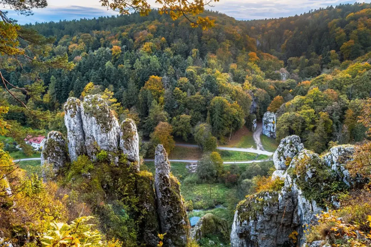 Jesienne barwy w Ojcowski Park Narodowy. Wapienne skały porośnięte mchem i roślinnością, otoczone lasem w złotych i zielonych odcieniach.