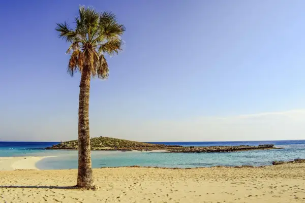 Palma na piaszczystej plaży, turkusowa woda i błękitne niebo. Idealne miejsce, gdzie jest ciepło we wrześniu.