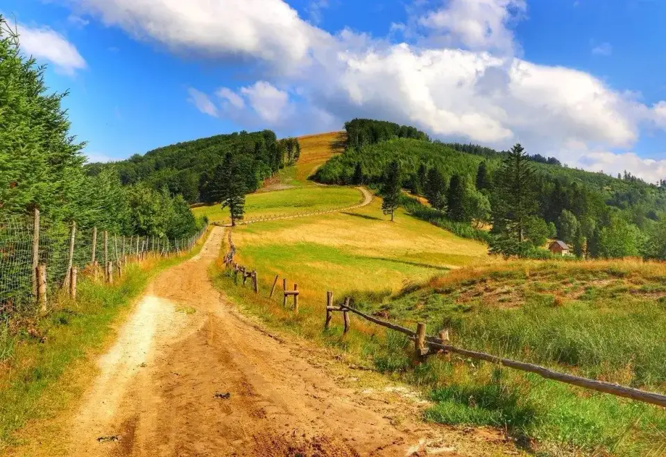 Beskidy - Jak zaplanować wyjazd? Miejsca, szlaki, miasta